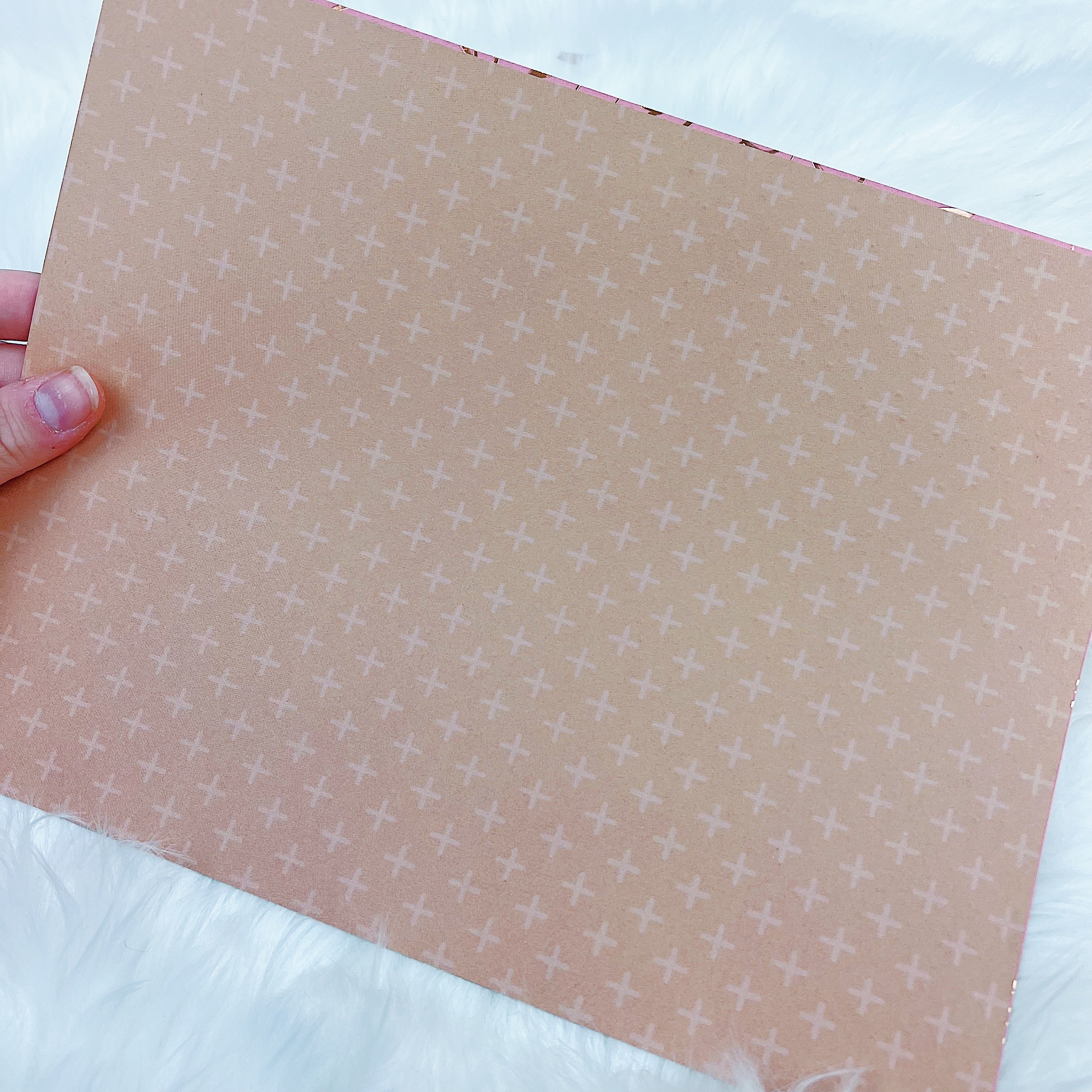 Book Gazer 2.0 Papers + Acetate + Vellum | Bronze Foiled - Image 6